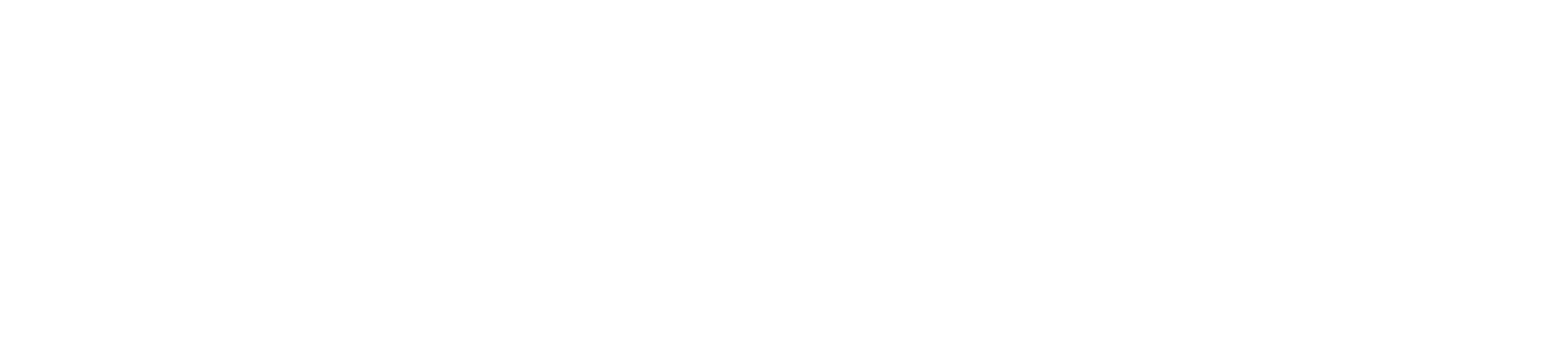 OWS-logo-achromatyczne-biale